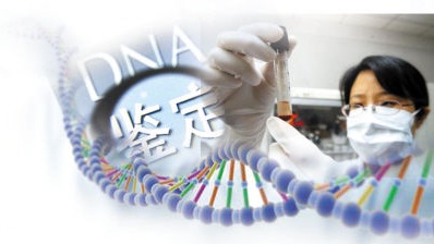 DNA亲子鉴定让家庭破镜重圆