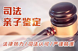 广西司法DNA亲子鉴定收费多少钱，广西正规司法亲子鉴定机构