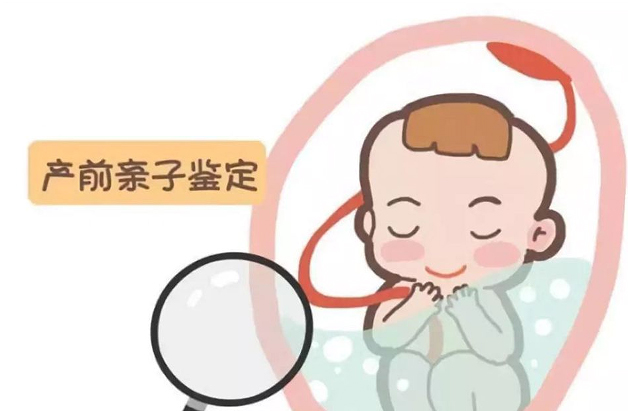 广西怀孕几个月需要怎么办理产前亲子鉴定,在广西做无创怀孕亲子鉴定收费明细