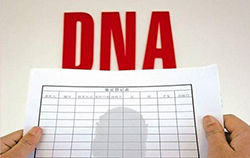 广西什么地方能做DNA鉴定，广西正规的亲子鉴定中心需要怎么办理